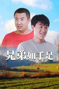 �ֵ�������