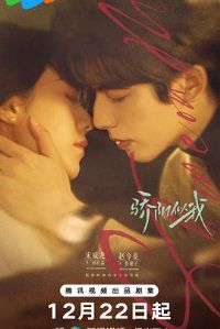 ��������2025