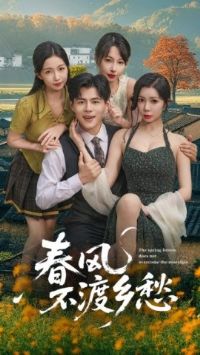 ���粻�����