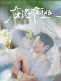 �ڸ�����