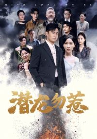 Ǳ������