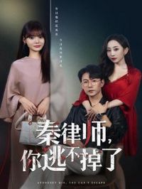 ����ʦ���Ӳ�����